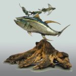 Tuna fish and flying fish metalic sculpture by Carlos Hiller.