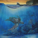 Leatherback seaturtle swimming to nest in Playa Grande, Costa Rica. Painting by Carlos Hiller.