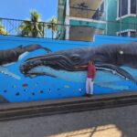 humpback whale and calf mural by marine artist Carlos Hiller, at Bahia Drake, Costa Rica