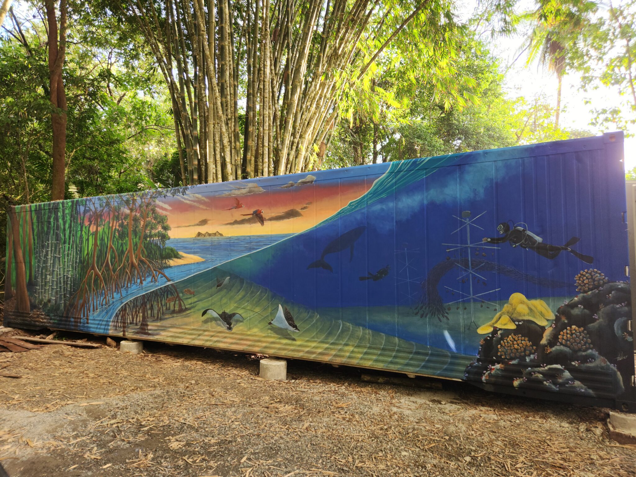 Carlos hiller underwater scene painted for Coral Restoration at Parque Marino Ballena, Costa Rica.