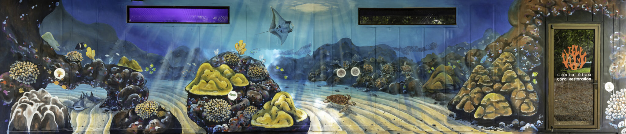 Carlos Hiller mural at Coral Restoration at Parque Nacional Marino Ballena, Costa Rica.