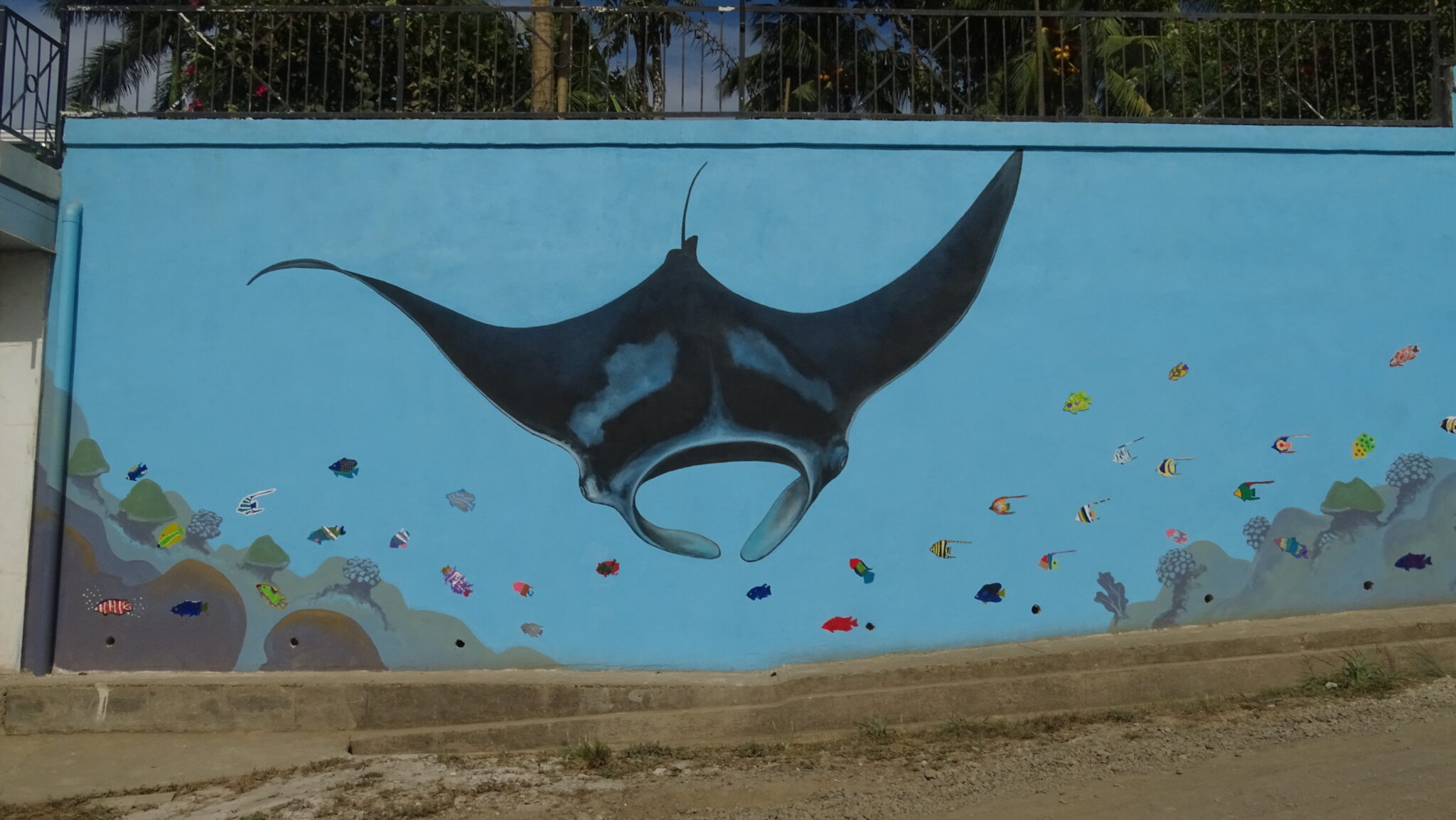 Manta Ray mural by marine artist Carlos Hiller, at Bahia Drake, Costa Rica