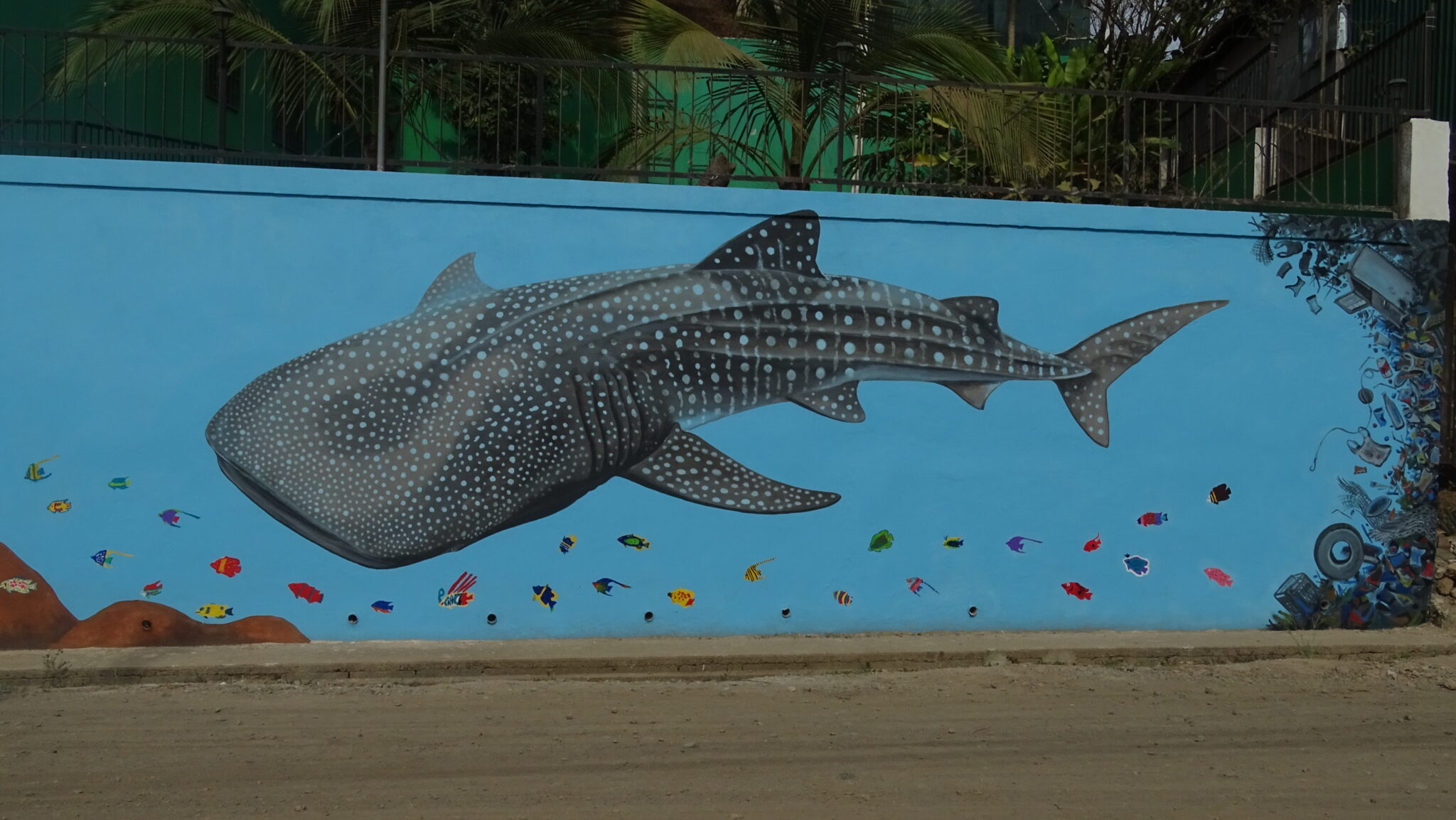 Whale Shark mural by marine artist Carlos Hiller, at Bahia Drake, Costa Rica.