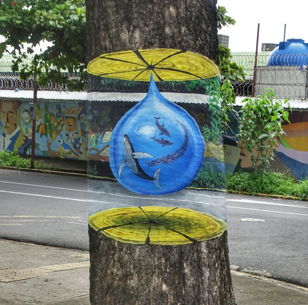 3D street art camouflaging art by Carlos Hiller in Costa Rica.
