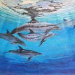 Spotted dolphins family, Costa Rica fine art. Painting by Carlos Hiller.