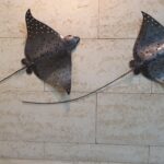 Eagle ray metalic sculptures by marine artist Carlos Hiller.