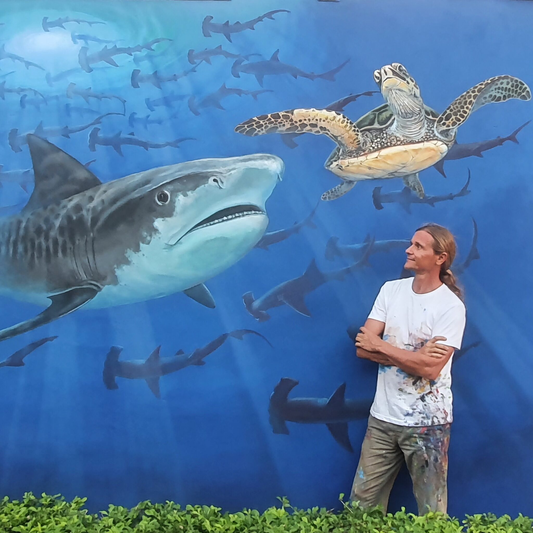 Mural by Carlos Hiller marine artist at Scuba equip, San José, Costa Rica.