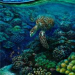 Hawksbill sea turtle on a coral reef in Costa Rica. Painting by Carlos Hiller.