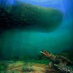 Green sea turtle on a sandy bottom seafloor and a school fish. Painting by Carlos Hiller.