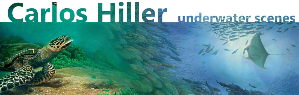 Carlos Hiller marine artist, underwater scenes.