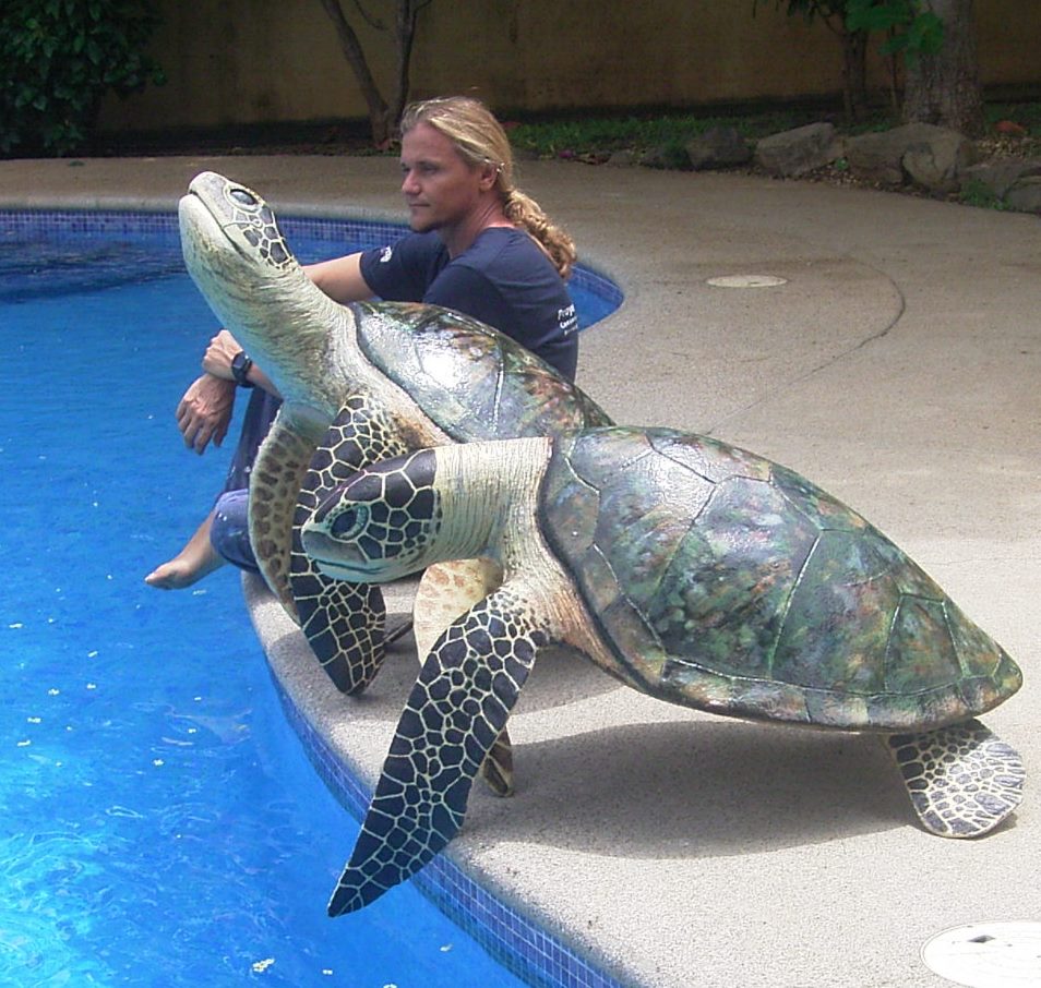 Carlos Hiller marine artist with two seaturtle sculptures.